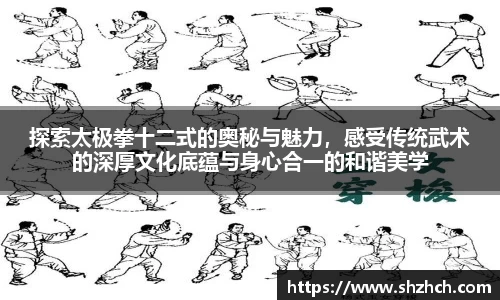 探索太极拳十二式的奥秘与魅力，感受传统武术的深厚文化底蕴与身心合一的和谐美学