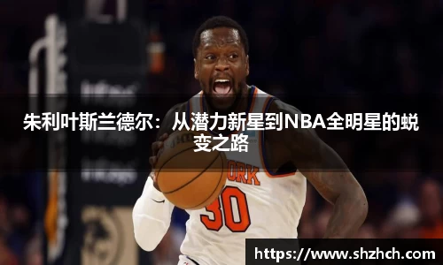 朱利叶斯兰德尔：从潜力新星到NBA全明星的蜕变之路